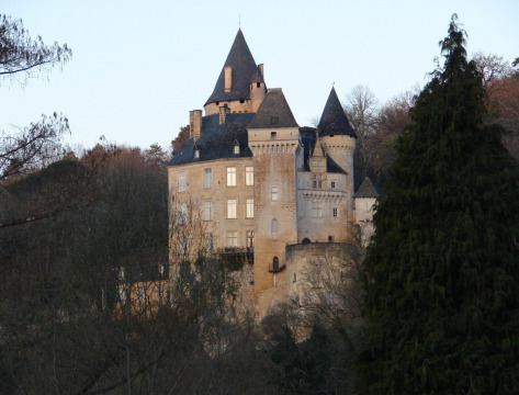Château de La Roque des Péagers (Meyrals)