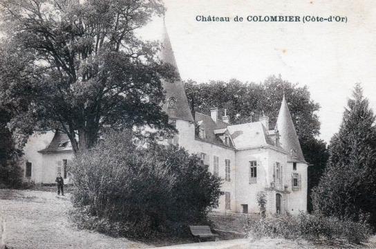 Château de Colombier (Colombier)