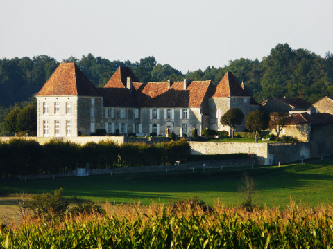 Château de Connezac (Connezac)