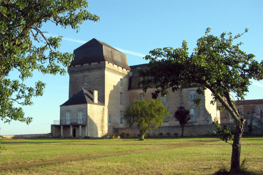 Château de Chalais (Chalais)