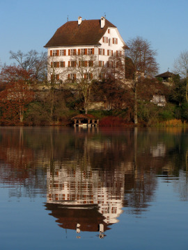 Schloss Mauensee (Mauensee)