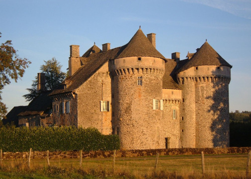 Château de La Vigne (Ally)