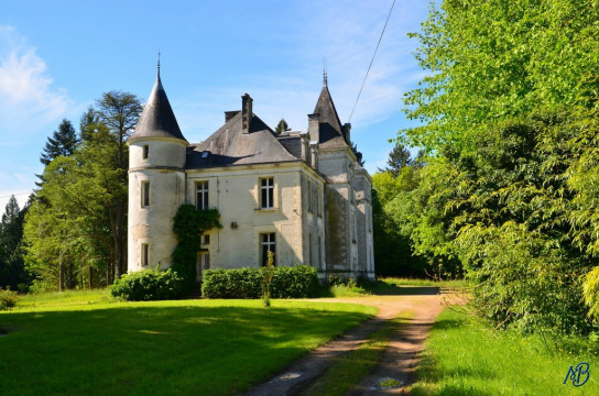 Château de Rosier (Le Châtenet-en-Dognon)