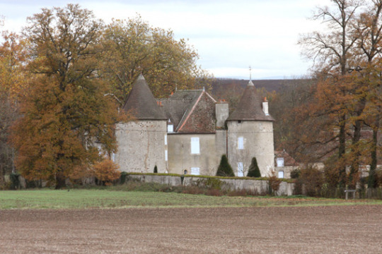 Château des Garennes (Verneuil-en-Bourbonnais)