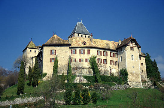 Château de Blonay (Blonay)
