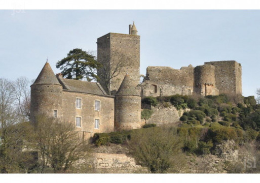 Château de Brancion (Martailly-lès-Brancion)