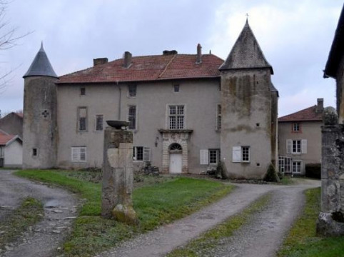 Château de Romémont (Buissoncourt)