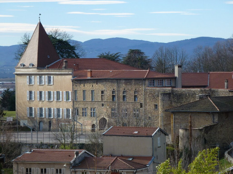 Château de Fromente (Saint-Didier-au-Mont-d'Or)