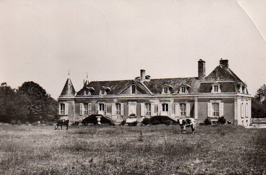 Château de Dollon (Dollon)
