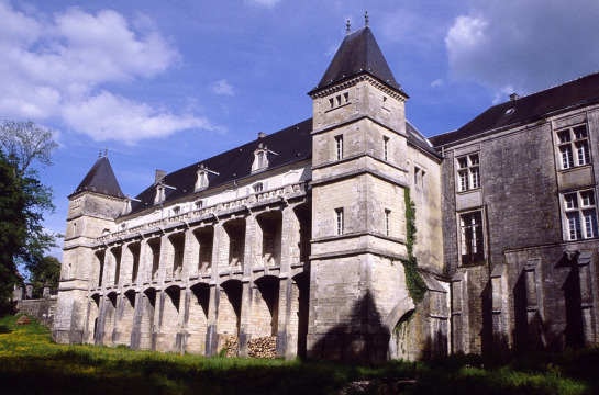 Château d'Échenay (Échenay)