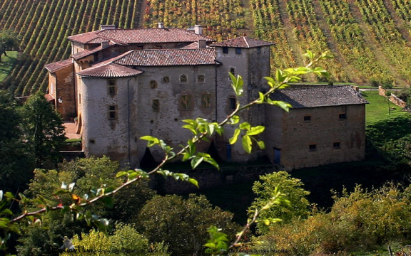 Château de Rapetour (Theizé)