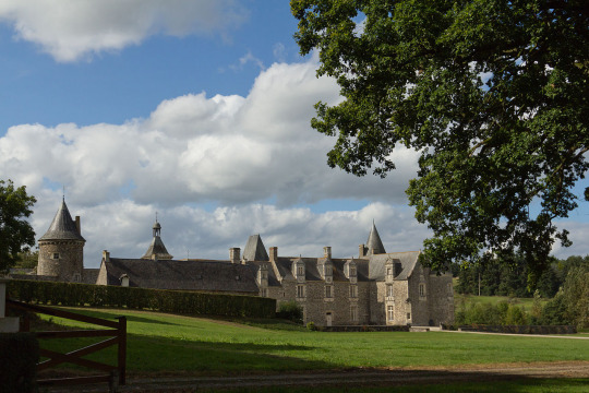 Château des Nétumières (Erbrée)