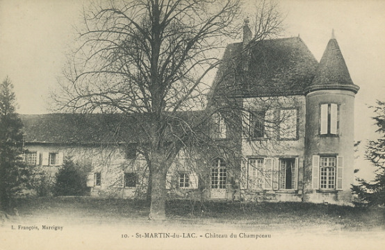 Château du Champceau (Saint-Martin-du-Lac)