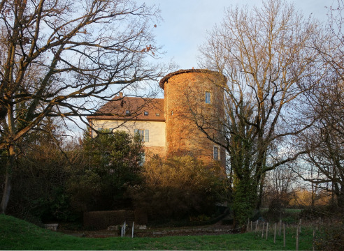 Château de Sandrans (Sandrans)