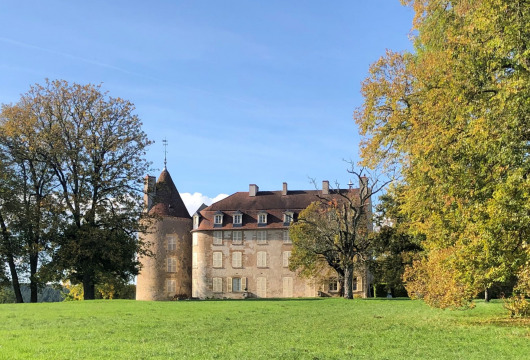 Château de Dumphlun (Billy-Chevannes)