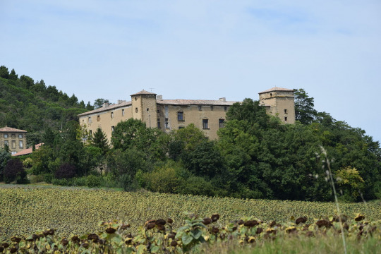 Château de La Serpent (La Serpent)