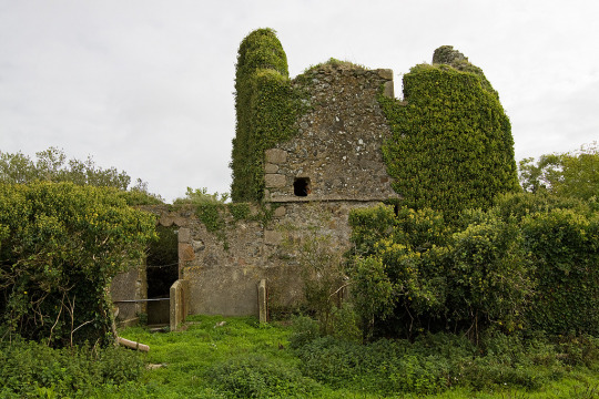 Ballyconor Castle (Wexford)