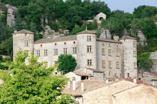 Château de Voguë (Vogüé)