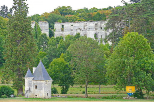 Château de Montgoger (Saint-Épain)