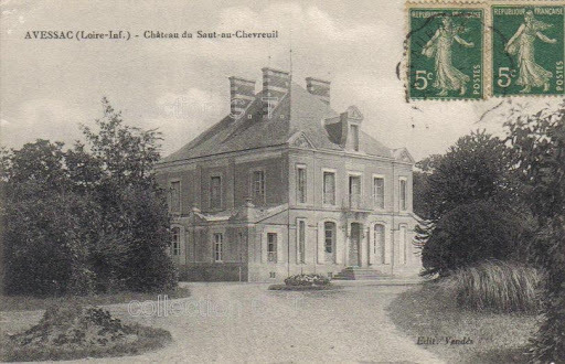 Château du Saut-au-Chevreuil (Avessac)