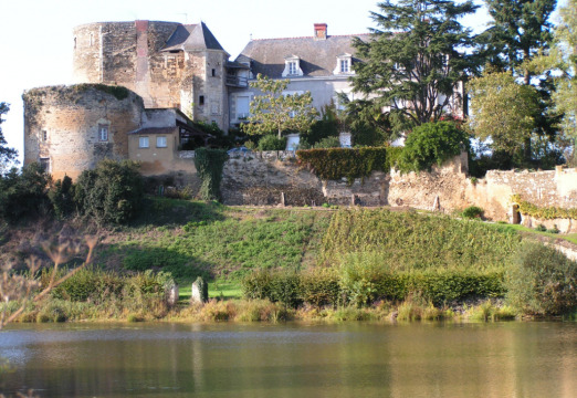 Château de Passavant (Passavant-sur-Layon)