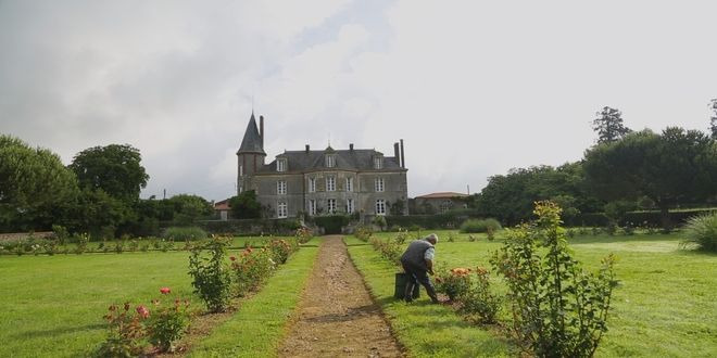 Château de Mouchamps (Mouchamps)