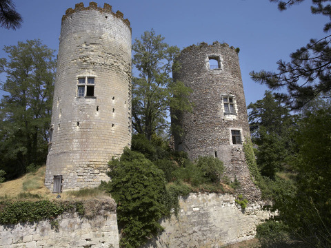 Château de Cinq-Mars (Cinq-Mars-la-Pile)