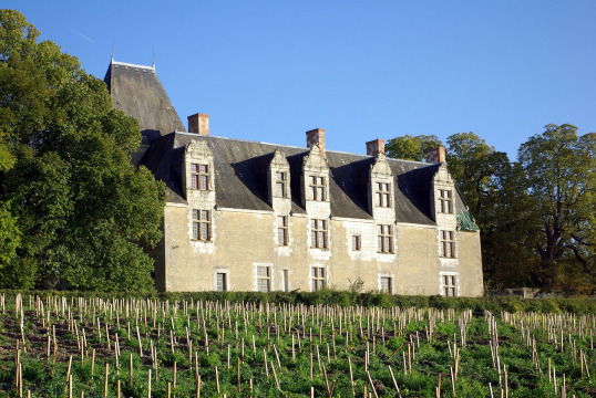 Château de La Cour-au-Berruyer (Cheillé)