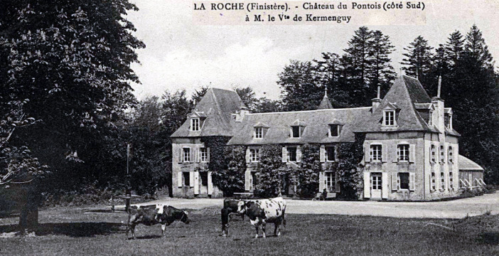 Château du Pontois (La Roche-Maurice)