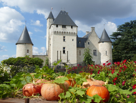 Château du Rivau (Lémeré)