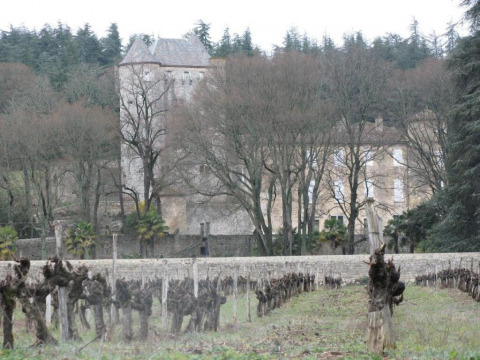 Château de Baumefort (Saint-Alban-Auriolles)