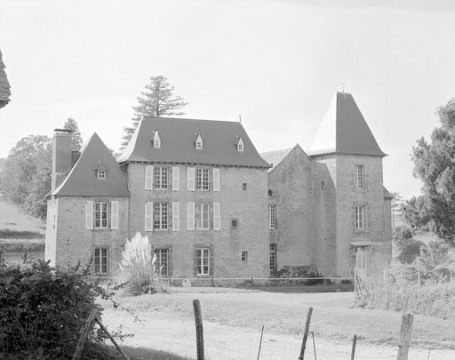 Château de Villanfray (Châtillon-en-Vendelais)