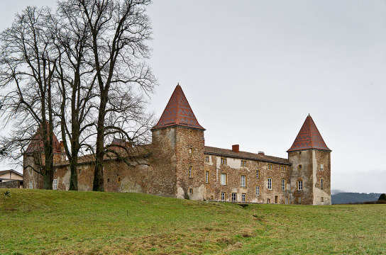 Château de Rochefort (Amplepuis)