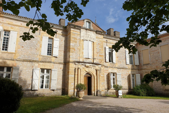 Château de Montricoux (Montricoux)
