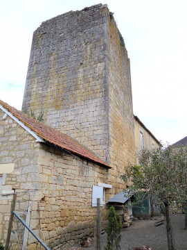 Château de Jayac (Jayac)