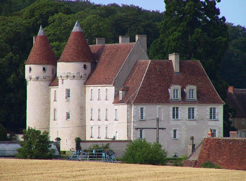 Château du Mée (Pellevoisin)