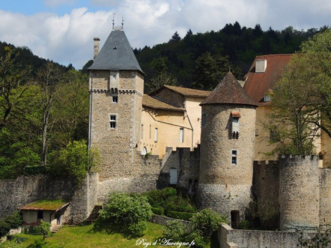 Château de Châteldon (Châteldon)