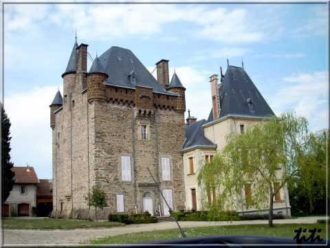 Château de Vaux (Saint-Julien-du-Pinet)