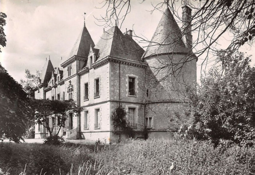 Château de Mauzé (Mauzé-sur-le-Mignon)