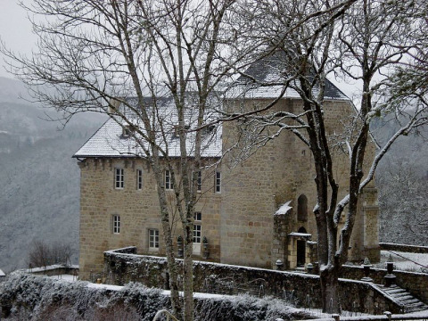 Château d'Anglard (Sainte-Marie-Lapanouze)