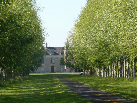 Château de Rochefort (Saint-Jean-de-Savigny)