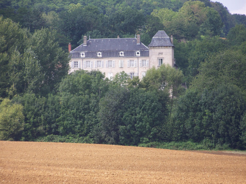 Château de Fleurfontaine (Amance)
