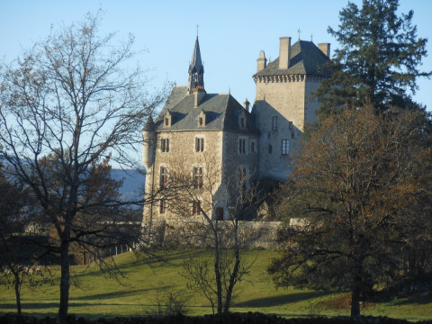 Château de Couzan (Vebret)