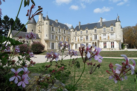 Château de Terre-Neuve (Fontenay-le-Comte)