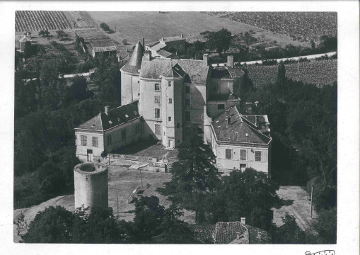 Chateau de Buzet sur Baïse (Buzet-sur-Baïse)