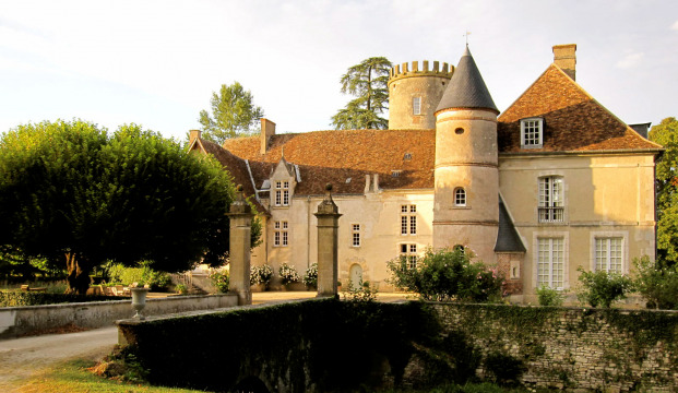 Château de Pesselières (Jalognes)