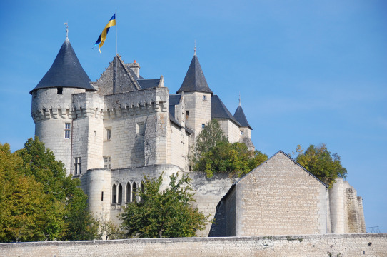 Château de La Motte d'Usseau (Usseau)