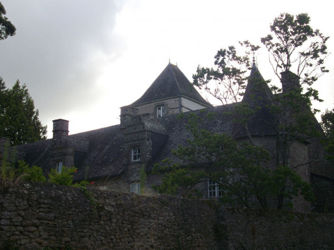 Château de Rulliac (Saint-Avé)
