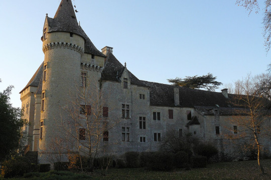 Château de Roquepiquet (Verteuil-d'Agenais)