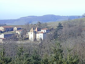 Château de Sarron (Fourneaux)